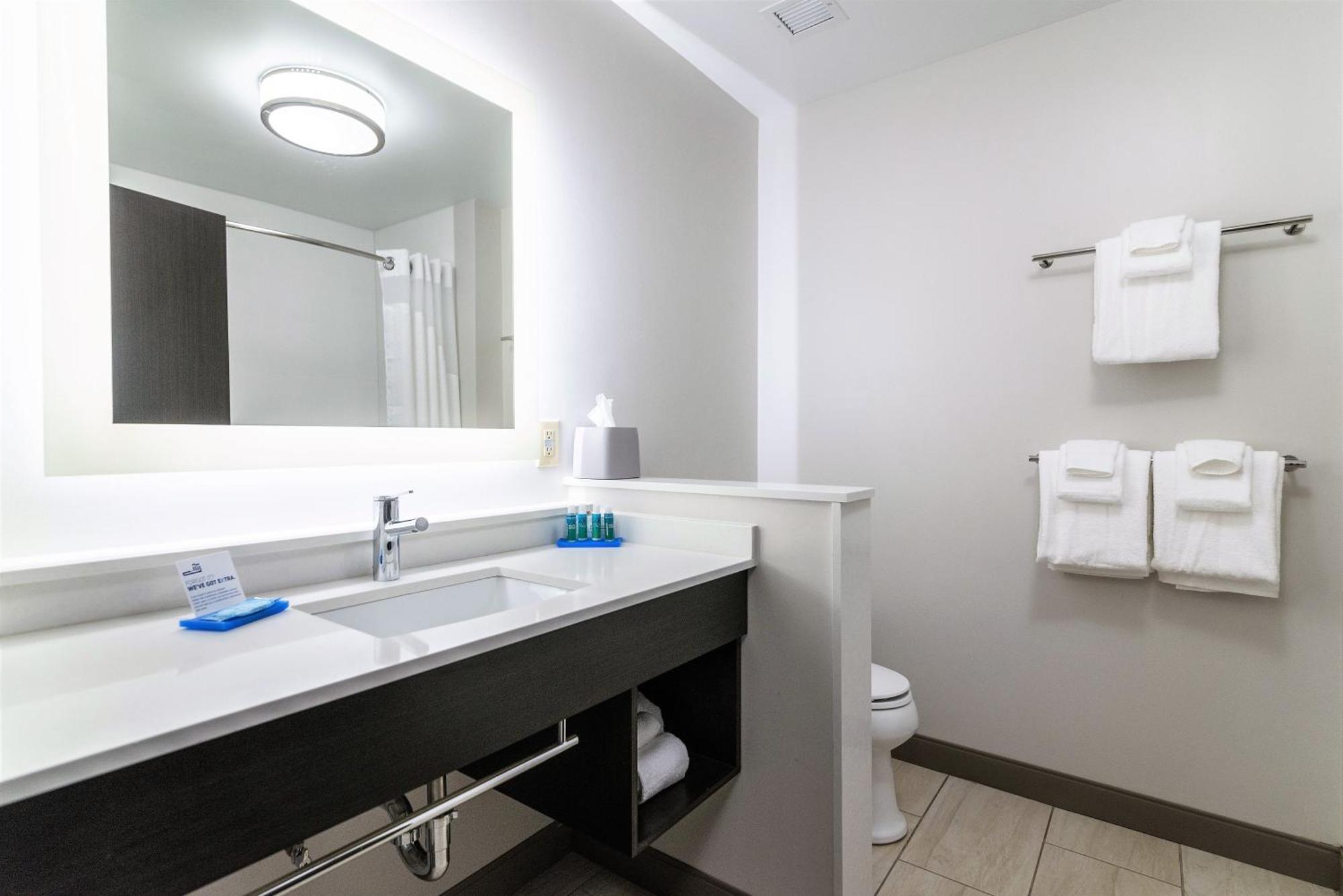 Holiday Inn Express & Suites Allen Park By Ihg מראה חיצוני תמונה